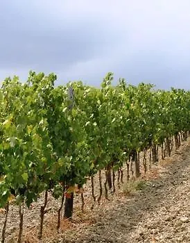 Agriturismo Podere La Marronaia