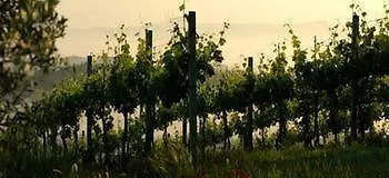 Agriturismo Podere La Marronaia San Gimignano