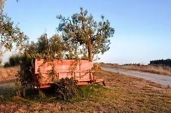 Séjour à la ferme Podere La Marronaia *