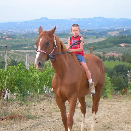 Farm stay Agriturismo Podere La Marronaia *