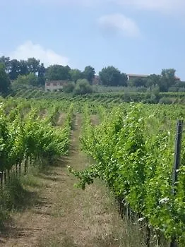 Agriturismo Podere La Marronaia * San Gimignano